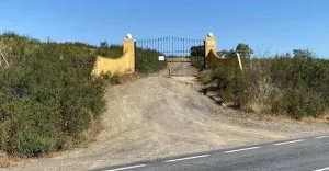 Dehesa Tamujoso | 650 ha de dehesa productiva con explotación ganadera y cinegética en Huelva