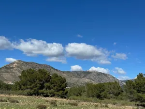 Finca en Aledo