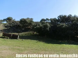 finca en venta 25 has. recreo ganadera