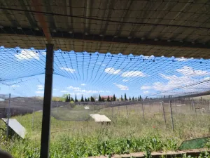 Finca Rustica granja de gallinas ecológicas