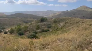 ^^FINCA RÚSTICA DE MÁS DE 2.500.000 M2 EN ALQUILER CON OPCIÓN A COMPRA, CON POSIBILIDAD DE RECONSTRUCCIÓN DE VIVIENDAS DE MÁS DE 600 M2, ENTRE LORCA Y ÁGUILAS, MURCIA. VISTAS AL MAR^^ Se ofrec