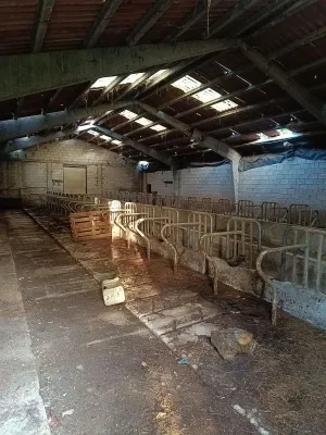 Nave ganadera de 750 m² en Lena (Asturias)