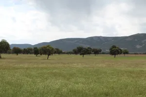 Finca recreo, caza e hípica Ref. 1547