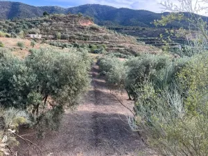 Paraje de los castillos - Restabal