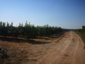 Finca agrícola de 2,24 ha - 27 hanegadas