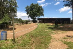 Casa con instalaciones para 5 caballos (REGA)