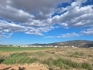 UN TERRENO EXCEPCIONAL EN PINOSO PARA CREAR EL HOGAR QUE IMAGINAS.