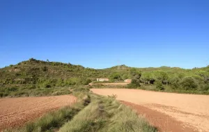 Finca Rústica con Amplias Posibilidades