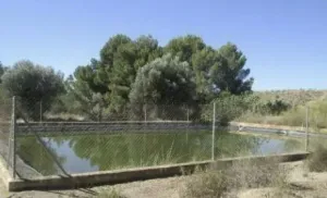 Cortijo andaluz con 13,5 hectáreas, Partaloa