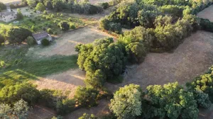 Finca de regadío con gran potencial