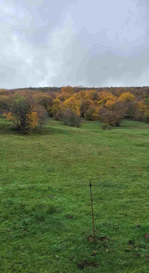 Finca RECREO Y  CULTIVO " Agua la Villa"