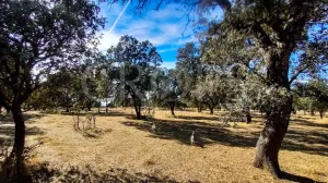 Propriedade com casa à venda na Serra de Gredos