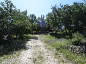 FINCA GANADERA EN EL ESCORIAL - 1508