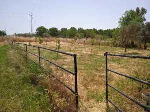 Finca rustica de 5350 m2 legalizada