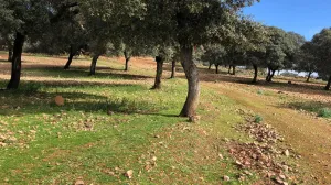 FINCA GANADERA , AGRICOLA Y CINEGETICA
