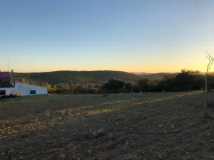 Magnifica Finca