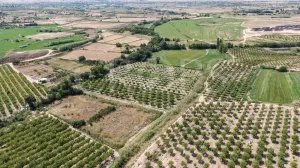 Finca de regadío en la provincia de Teruel