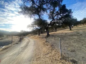 finca ganadera en el término de la nava,