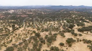 Dehesa ganadera en venta en Huelva