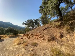 FINCA EN LA NAVA