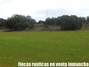 finca en venta 186 has. labor caza menor