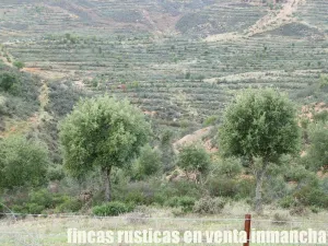 finca en venta 216 has. Recreo Ganadera