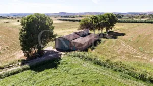 En venta finca agrícola de regadío en Huesca