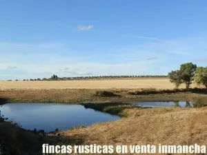 finca en venta 350 has. labor secano olivar