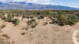 Dehesa para construir en Sierra de Gredos