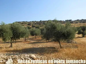 finca venta 326 has labor ganadera en Almagro