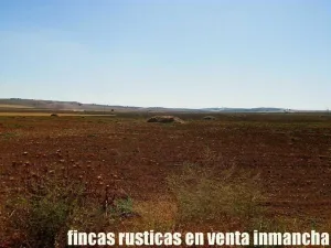 finca en venta 184 has. labor riego Belmonte