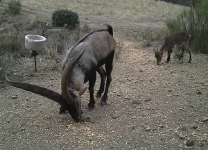 Finca agricola, cinegetica y recreo