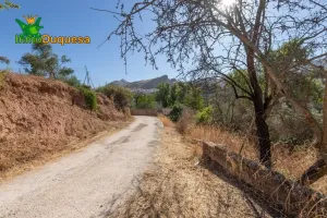 Terreno RÚSTICO con cortijo en Cogollos Vega