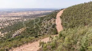 Finca ganadera en Los Baldíos (Badajoz)