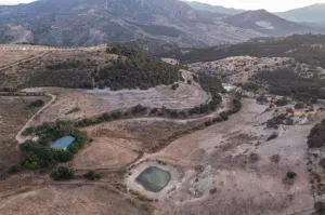 Finca Ganadera Con Alojamiento Turistico