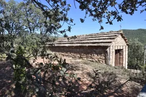 Venta Coto de caza mayor en Solsona