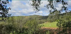 Hermosa Finca de Caza mayor y Recreo