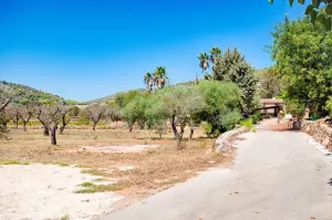 Finca en Senija - Alicante