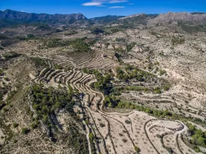 Finca en Relleu - Alicante
