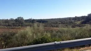 Finca en San Bartolome de la Torre