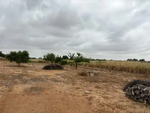Finca en Bollullos par del condado Bollullos
