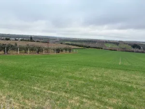 Finca Bollullos Par del Condado, Huelva