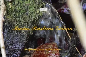 Finca de 79 hectáreas en Susqueda