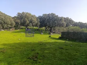 FINCA  110 HECTÁREAS EN LA ZONA DE ALCUESCAR