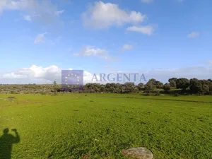 Finca Ganadera 190 ha en Cáceres