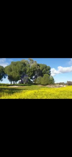 Finca Ganadera 10 ha en Valdesalor