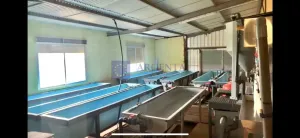 Se Vende Finca Ganadera/Industrial