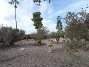 OFH-316 Finca española tradicional