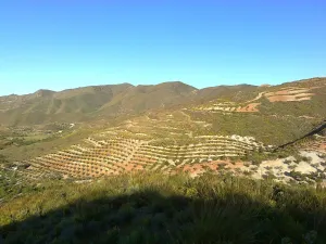 Finca con catorce hectareas.