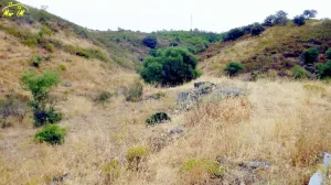 Propiedad de casi 9 hectáreas con viabilidad para proyectos.